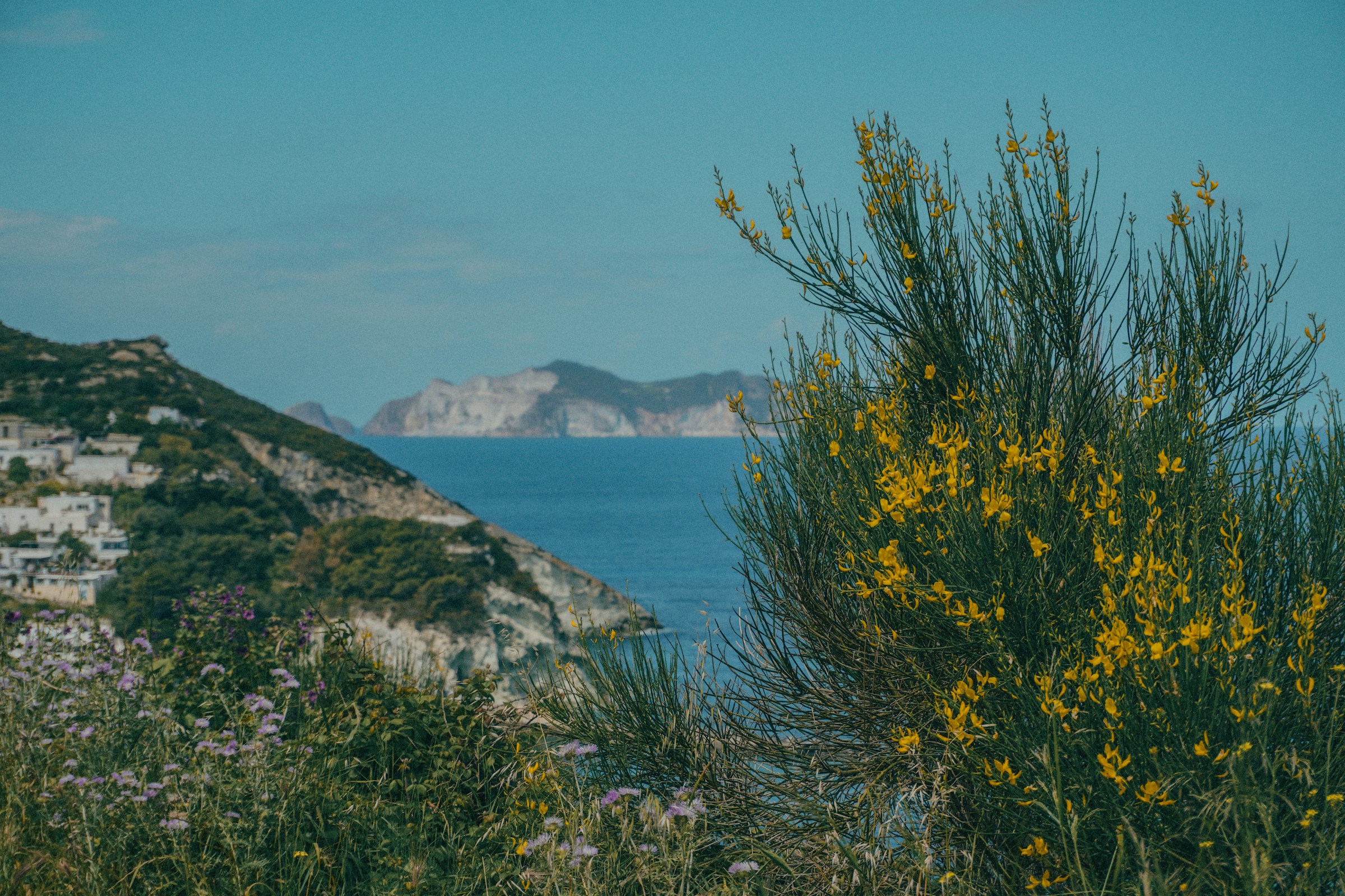 veduta ponza